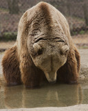_MG_4904a 8x10 1yo.jpg