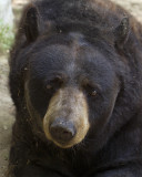 _MG_9055a 8x10cody.jpg