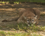 _MG_6144a 8x10cody.jpg