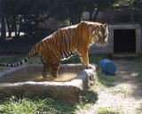 _MG_1817a_8x10shug.jpg