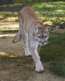 _MG_3148a_8x10angj.jpg