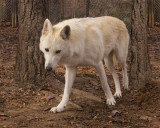 _MG_9005a_8x10hilde.jpg