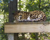 _MG_2585a_8x10jay.jpg