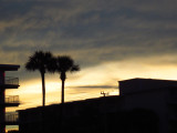 IMG_1077.jpg