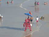 IMG_1255.jpg