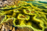 Dallol