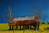 Derelict shack in rural Australia