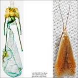 1291 – Pecan Cigar Casebearer Moth – Coleophora laticornella