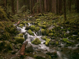 elwha-12.jpg