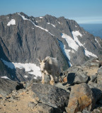 sahaleArm-18.jpg