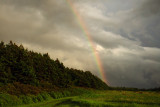 Rainbow, Hermanville PEI