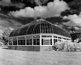 Tropical Greenhouse, infrared