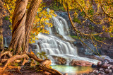 ** 16.2 -  Gooseberry Cedars At Middle Falls, Autumn