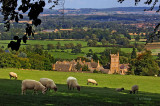 Cotswold Scene