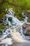 9.4 - Duluth: Tischer Creek Falls, Vertical