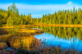***105.33 - Baptism River: Autumn Scene With Two Swans