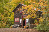 ** 84.2 - Sawtooth: Maple Syrup Shack With Dogs