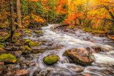 **84.84 - Tait River: Autumn 2018