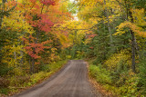 Sawtooth: Autumn With Mixed Colors LCD_4929.jpg