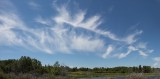 Bruce Smith - Look Up 02.jpg