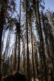 Bruce Smith - Look Up 06.jpg