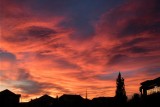 Bruce Smith - Look Up 08.jpg
