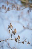 Suzan McEvoy - Look Up 01.jpg