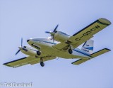 Ted Burchnall - Look Up 08.jpg