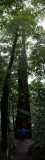 Vicki Smith - Look Up 01.jpg