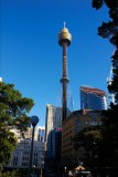 Vicki Smith - Look Up 04.jpg