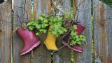Tracy Hindle - Shoes + Footwear 05.jpg