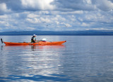 Jun 17 Kayaking between Cromarty sutors with guillimots