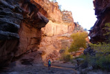 Hackberry canyon