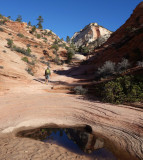 Zion- Heading up on the 'many pools' route down from the east entrance to the park