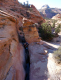 Zion- 'many pools' route 