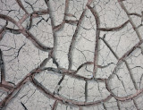 Halls creek mud