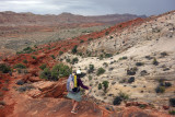 We headed north from the overlook trail and onto the 'Post trail'