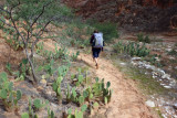 Day 4 Kanab- The going gets a bit easier higher up