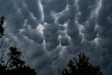 Mammatus Clouds Before the Storm
