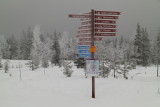 Ski trail directions