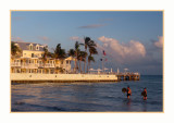 17 11 8836 Key West