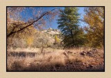 Arizona Hikes & Drives - Chapter 10 - San Rafael Valley
