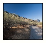 16 11 13 099 Near Madera Canyon in Santa Rita Mountains