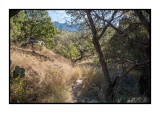 16 11 13 104 Madera Canyon
