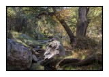 16 11 13 128 Madera Canyon