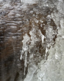 Ice-glazed Log