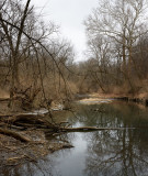 Franklin Creek near Hurd Farm in Winter