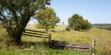 Pasture Fence 