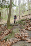 P1150749LR PF.jpg