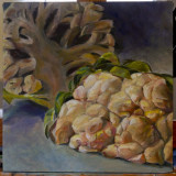 P1200165LR PF.jpg
